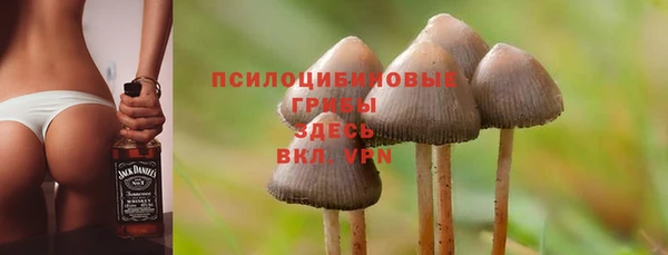 марки nbome Новозыбков